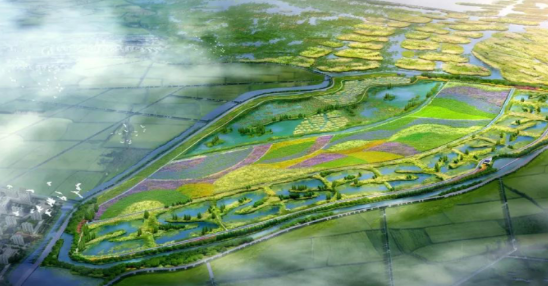 沸石又立新功!雄安新區府河河口濕地主體完工成效初顯!-國投盛世
