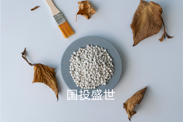 沸石分子篩干燥及凈化領域的應用-國投盛世