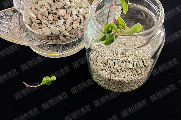 沸石與蒙脫石的區別與相同點在哪？
