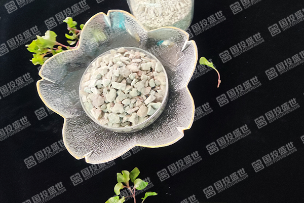 沸石在人工濕地生態(tài)系統(tǒng)中的應(yīng)用-國(guó)投盛世