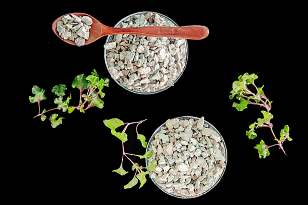 種植黃豆時能使用沸石嗎？