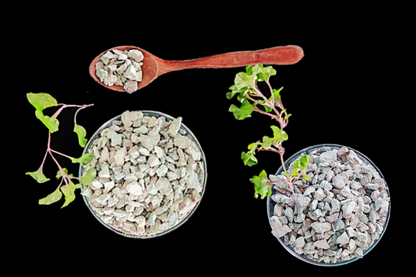 天然沸石對(duì)養(yǎng)貓家庭有哪些好處？-國投盛世