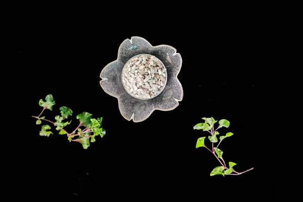 天然沸石對(duì)油菜種植有什么影響？