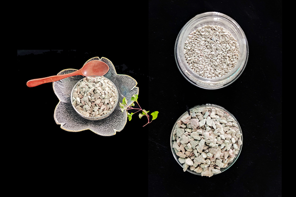 種植四季豆時加入沸石能提高產(chǎn)量嗎？