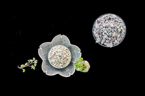 種植生菜時使用天然沸石能增產嗎？-國投盛世